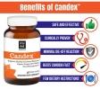 Candex_2